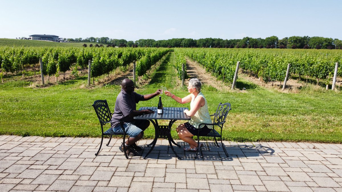 🎉Cheers to September! Once the grapes are ripe, it’s harvest time!#wine #winewinewine #myNyarai #winecountryON  #celebratewine #winelover #winetime #lovewine #wineenthusiast #virtualwinery  #grapevines  #buylocal #supportBlackownedwinery #vineyard  #winemakerslife