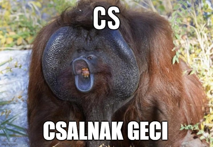 Amikor egy noname csapat elver