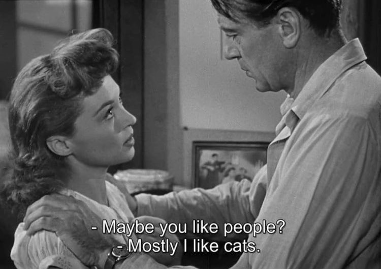 theholykiss's tweet image. 