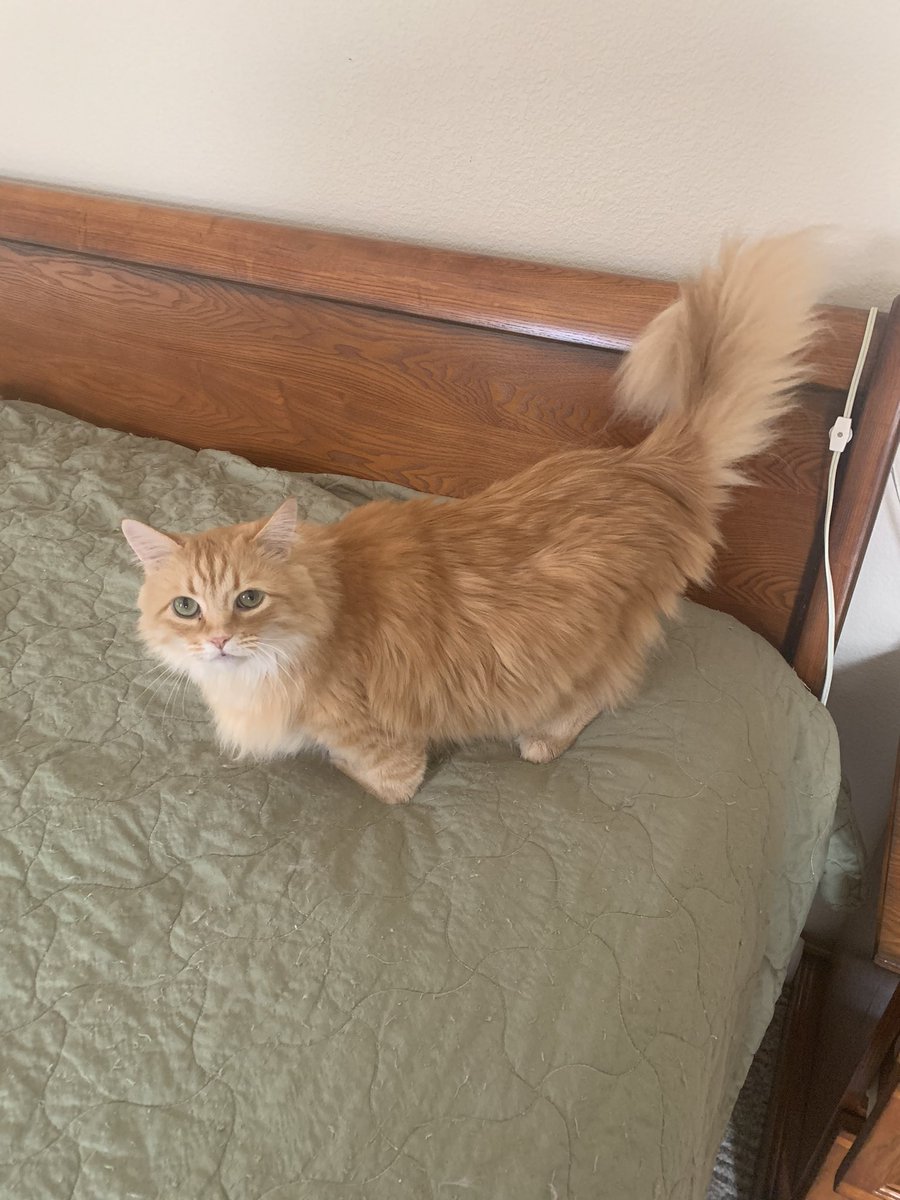 Calli and Sunny are having a good day.