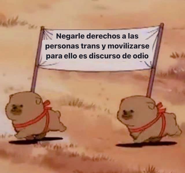 Su “debate” sobre quién puede o no entrar a un baño público es puro odio contra las mujeres y la diversidad que nos conforma disfrazado de “incorrección política”.

Sí, hay mujeres cis y trans.
🐕🏳️‍⚧️🐕✨