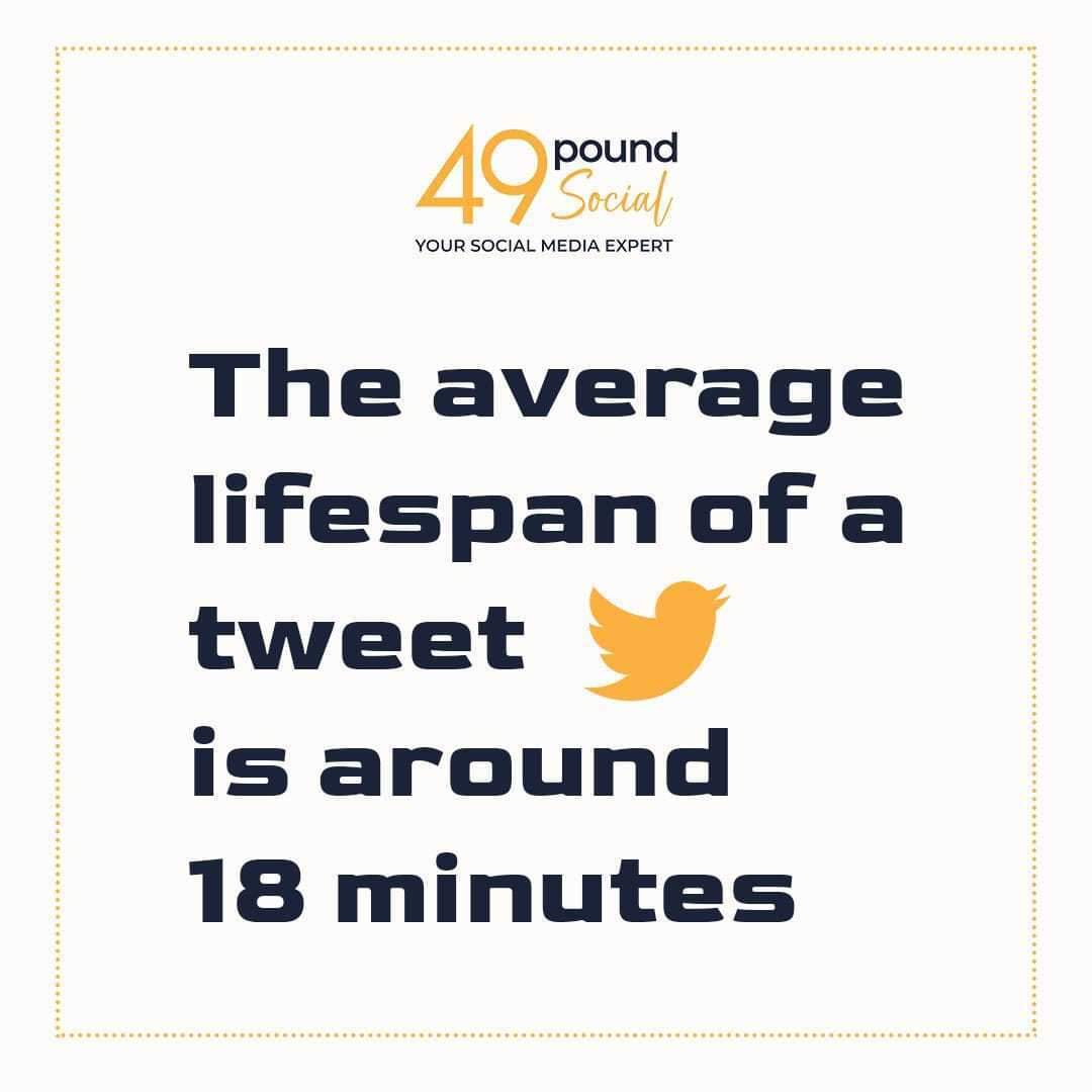 49poundSocial's tweet photo. Like a fleeting tweet, time is short! 🕒
Reach out us at #49poundsocial .
.
.
.
.
 #49poundsocial #marketingagency #average #averagetime #tweet #Tweeter #TweetyBird #London #Uk https://t.co/r9XDJMtdiF