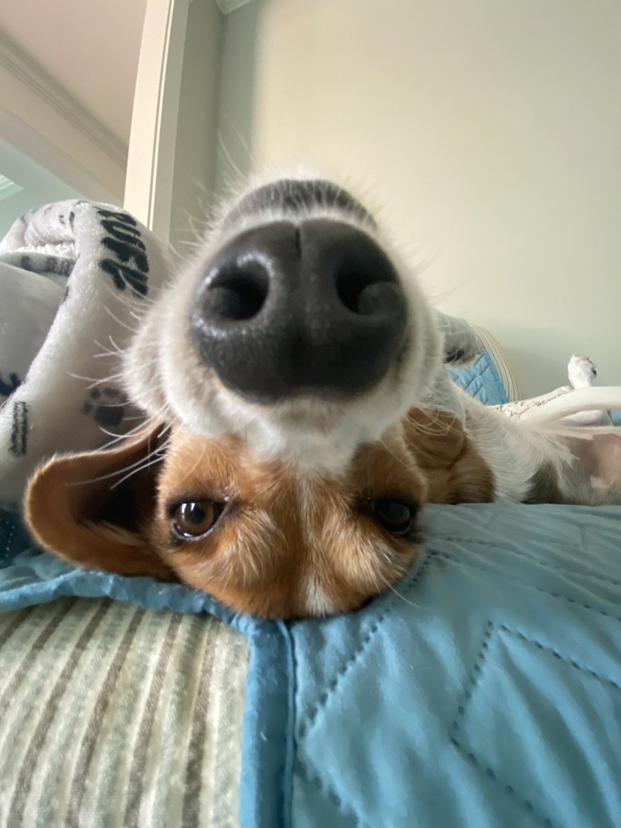 Hello to all my friends