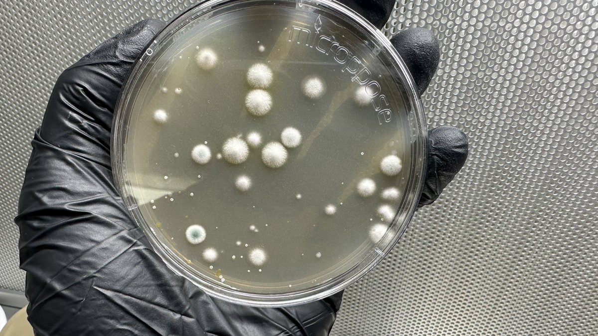 Josh McGinnis tweet media