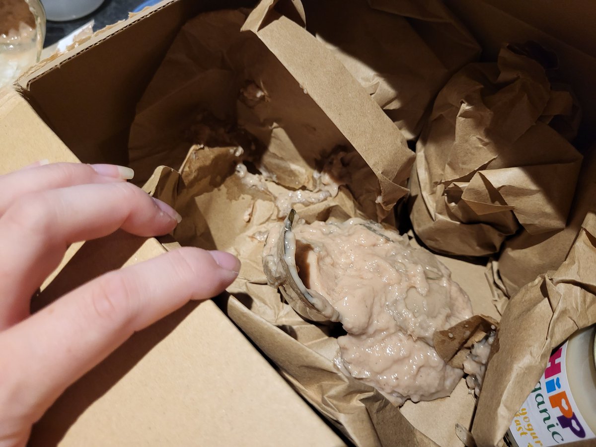 EmmaC91's tweet photo. @BootsUK this is how one of the food baby jars I ordered turned up https://t.co/lvsJFES61W