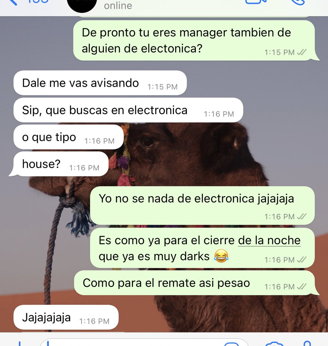 veronica_av3's tweet photo. Yo cotizando djs para fiestas: https://t.co/GQsqeBAcTg