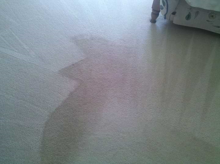 dmsclean's tweet image. Fall is the ideal time to get your carpets and upholstery cleaned. The freezing temperatures of winter can often make your carpets and upholstery a breeding ground for bacteria, dust, mold, and other contaminants. 
dmsclean.com