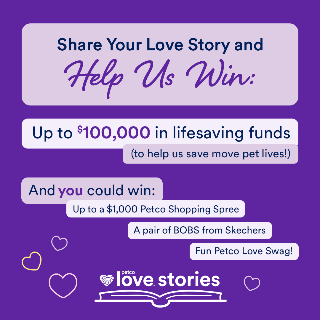 humane_penn's tweet photo. CALLING ALL HPA ADOPTERS! Submit your stories of love, joy, and transformation that have come through adopting your best friend, and help us win life-saving funds! 🥰🐾

Click the link in our bio to share your story!

#HumanePennsylvania #PetcoLoveStories #PetcoLove https://t.co/M9k3QJyMmE