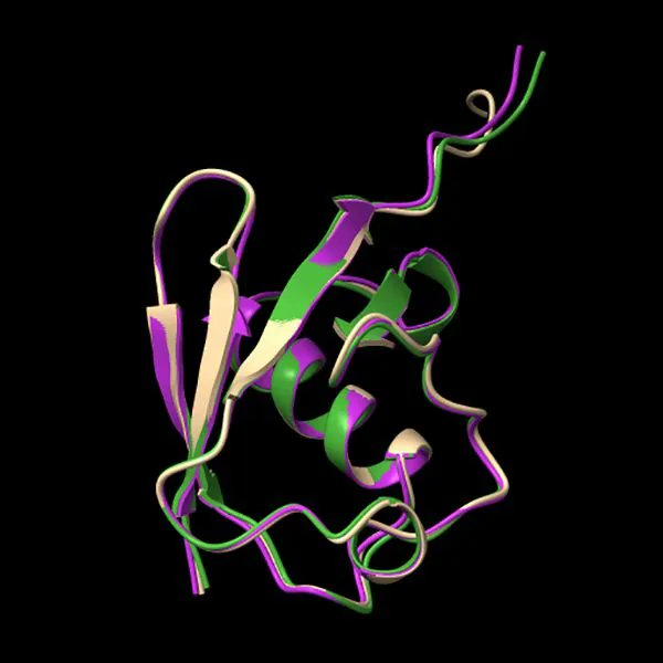 Unusually Divergent Ubiquitin Genes and Proteins in Plasmodium Species buff.ly/3R8HjLR #science #evolution #biology #genome
