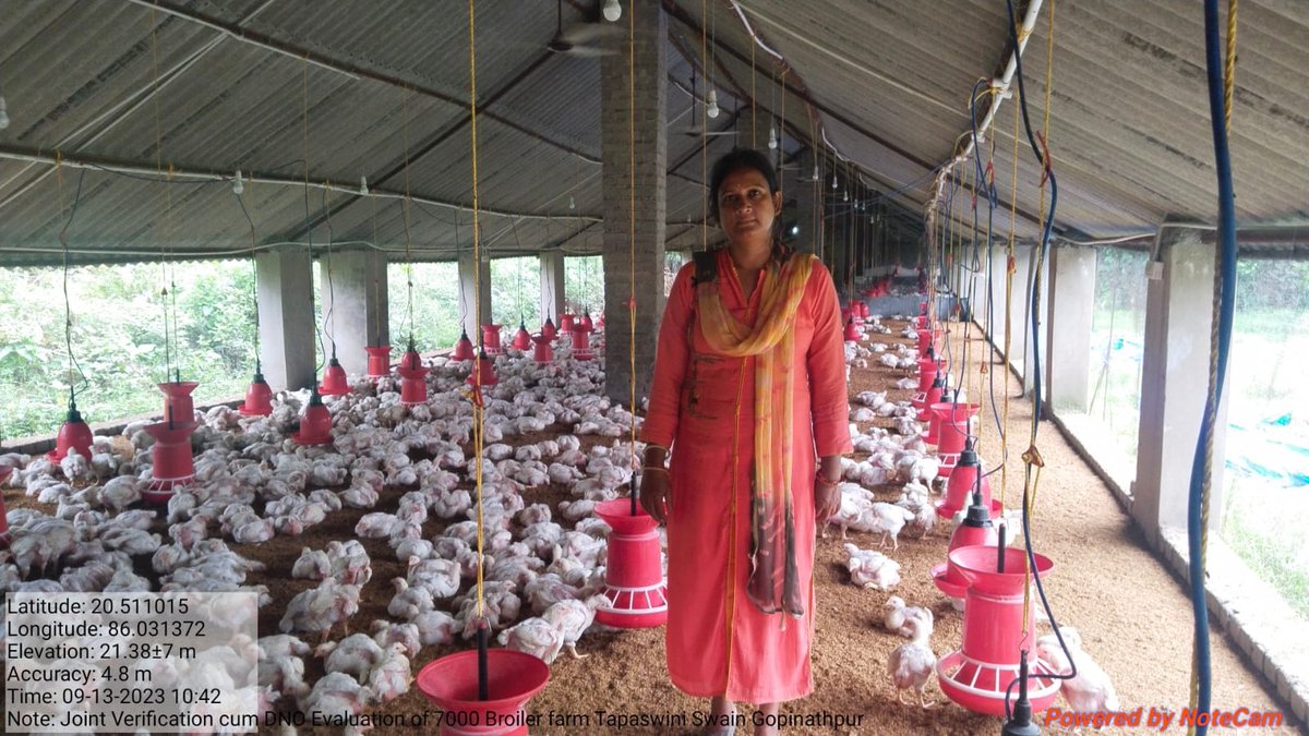 ovsacuttack's tweet photo. Joint verification of 7000 capacity Broiler farm of Tapaswini Swain, Salepur block under MKUY.@CMO_Odisha @Naveen_Odisha @MoSarkar5T @farddept @dahvsodisha @IPR_Odisha @VKPandiyan @rajaaswain @Vkpandianfancl1 @pranabpdas https://t.co/9sCKhIlTJ5