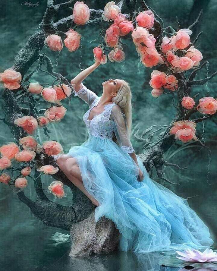 waltby_t's tweet photo. @dorra_zarrouk https://t.co/pqEfHLNSAu