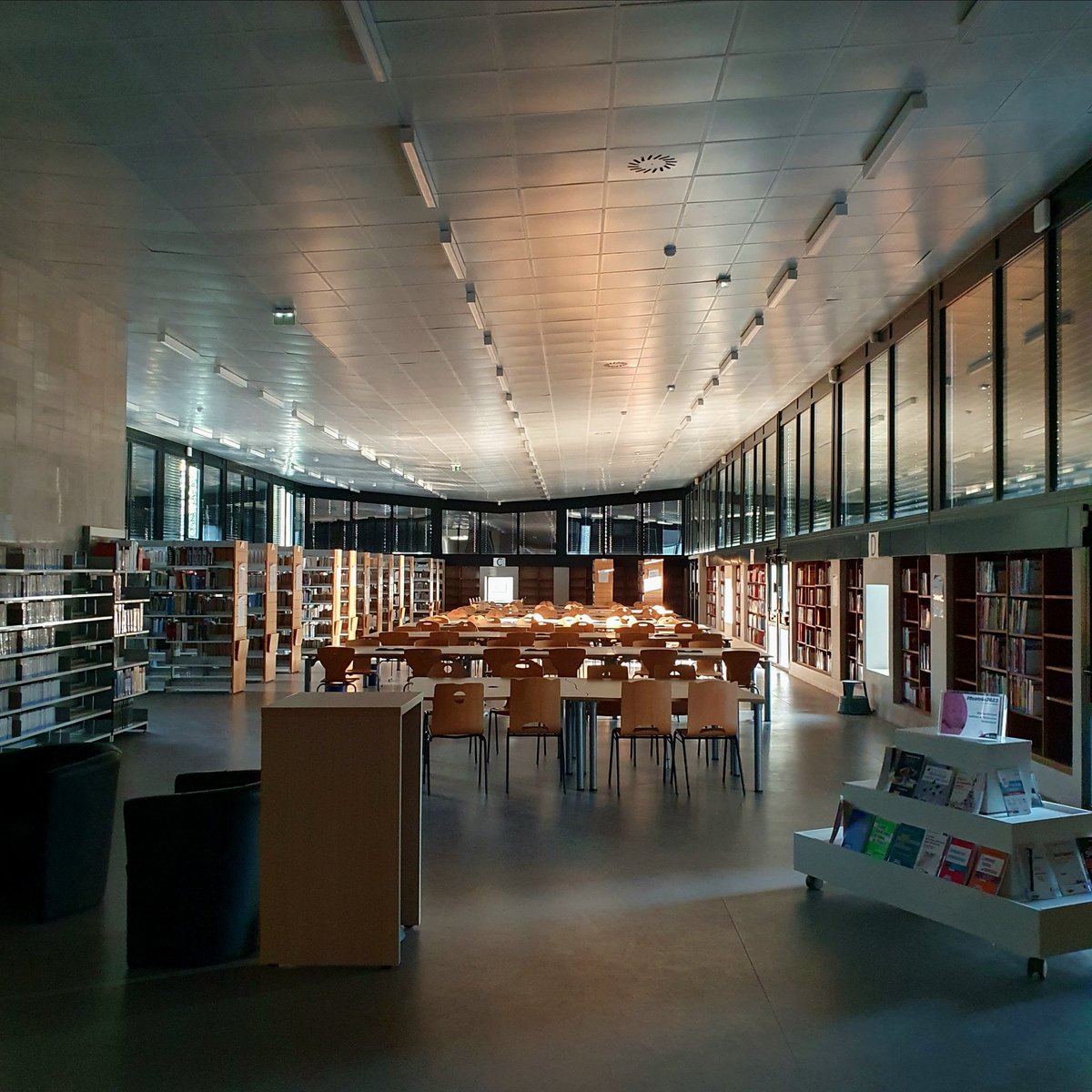 BUBMontaigne's tweet photo. 🤩 Rendez-vous demain pour la réouverture du 2e étage de la bibliothèque Lettres et Sciences humaines #BibLSh : 250 places assises, de vastes collections 📚 en libre accès (histoire, géographie, etc.), la presse 🗞️ et vos bibliothécaires @UBMontaigne ravi·es de vous y (re)voir ! https://t.co/imvEeTyLyi