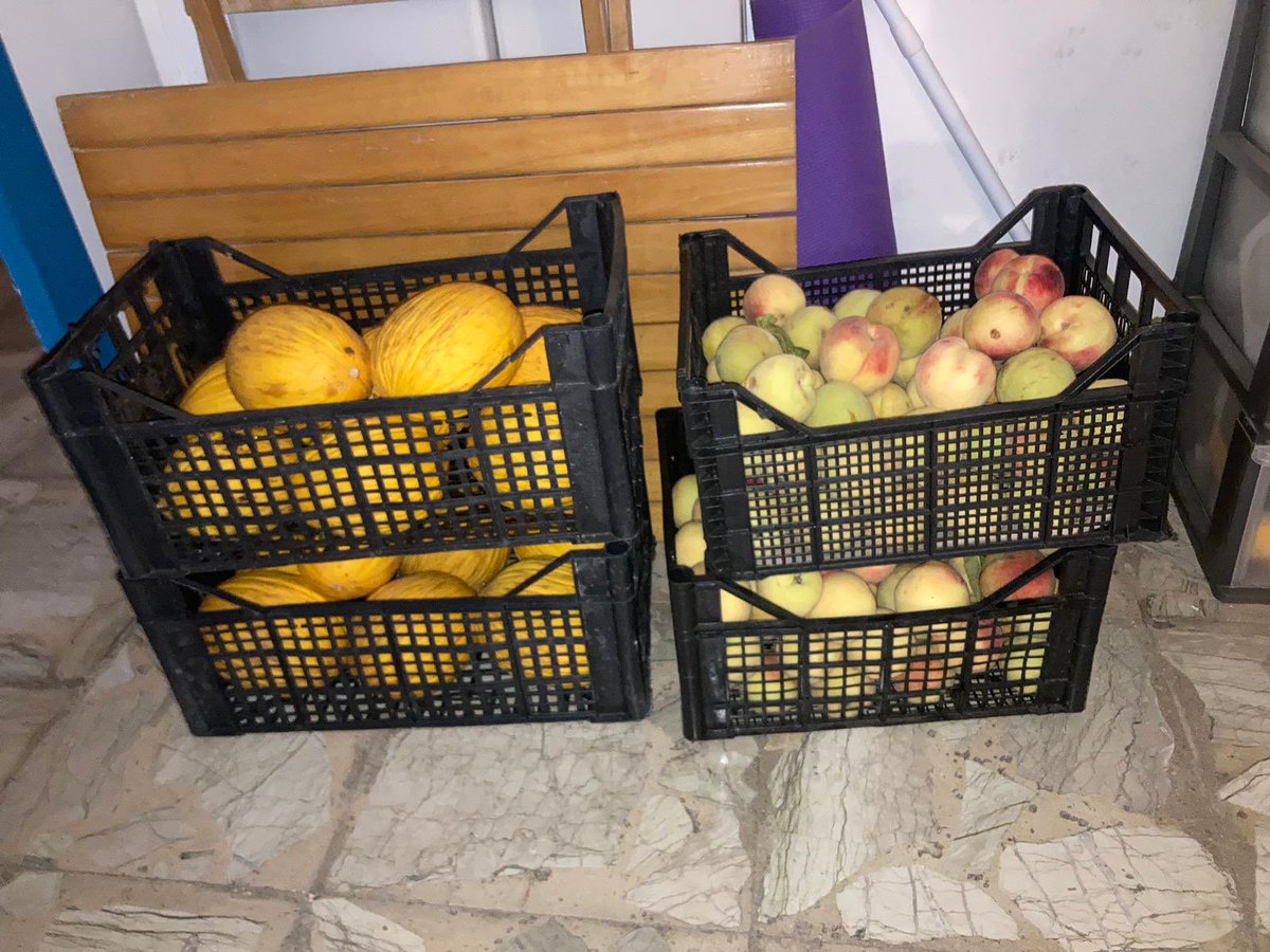 Medhope_FCEI's tweet photo. #Lampedusa è anche questa: #grazie alla #solidarietà degli abitanti dell'isola che stanno raccogliendo e offrendo cibo, frutta, acqua, quello che possono, alle #persone arrivate in queste ultime ore. 
#restiamoumani #stayhuman #statodiaccoglienza https://t.co/ndEejEgvzJ