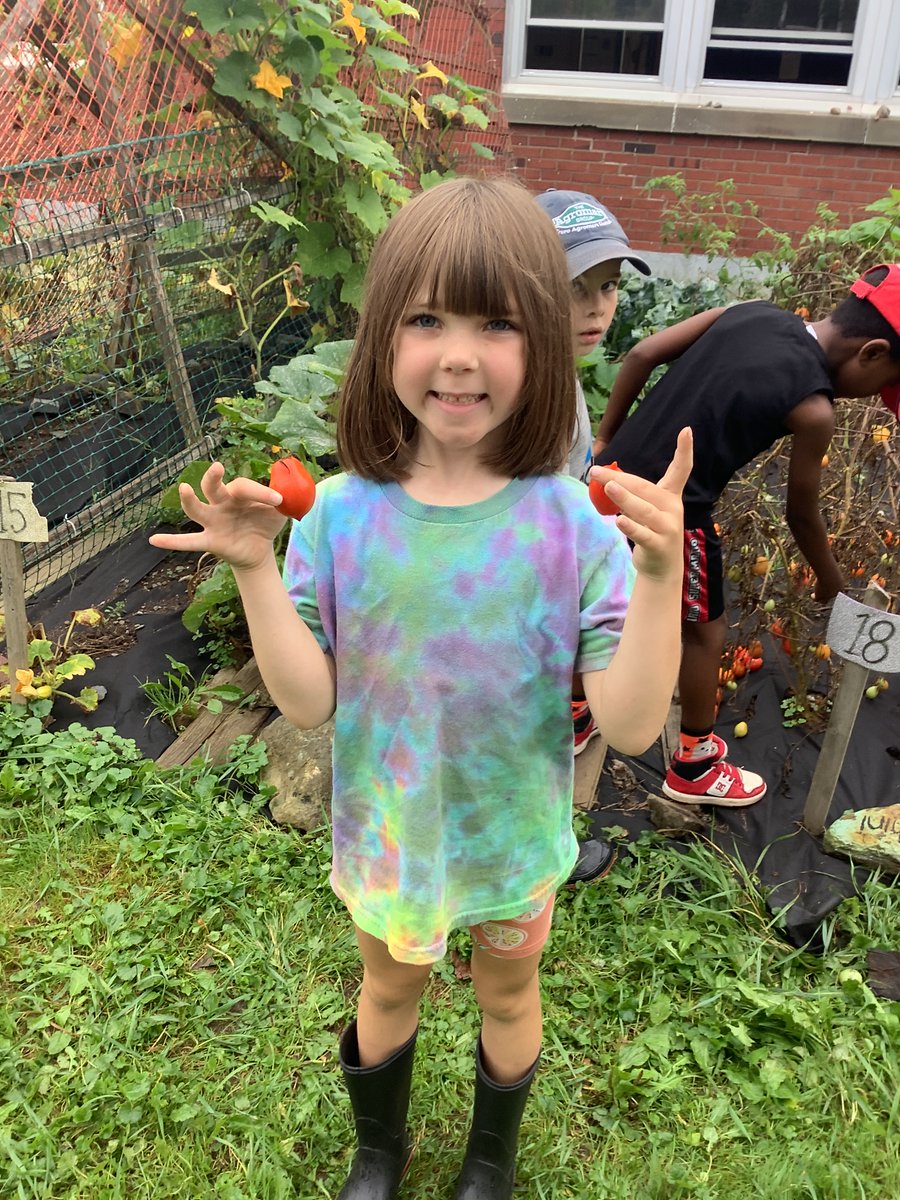 We picked tomatoes from the school garden to make yummy salsa!  Thanks to #stcatschool garden committee for taken care of the garden over the summer months!