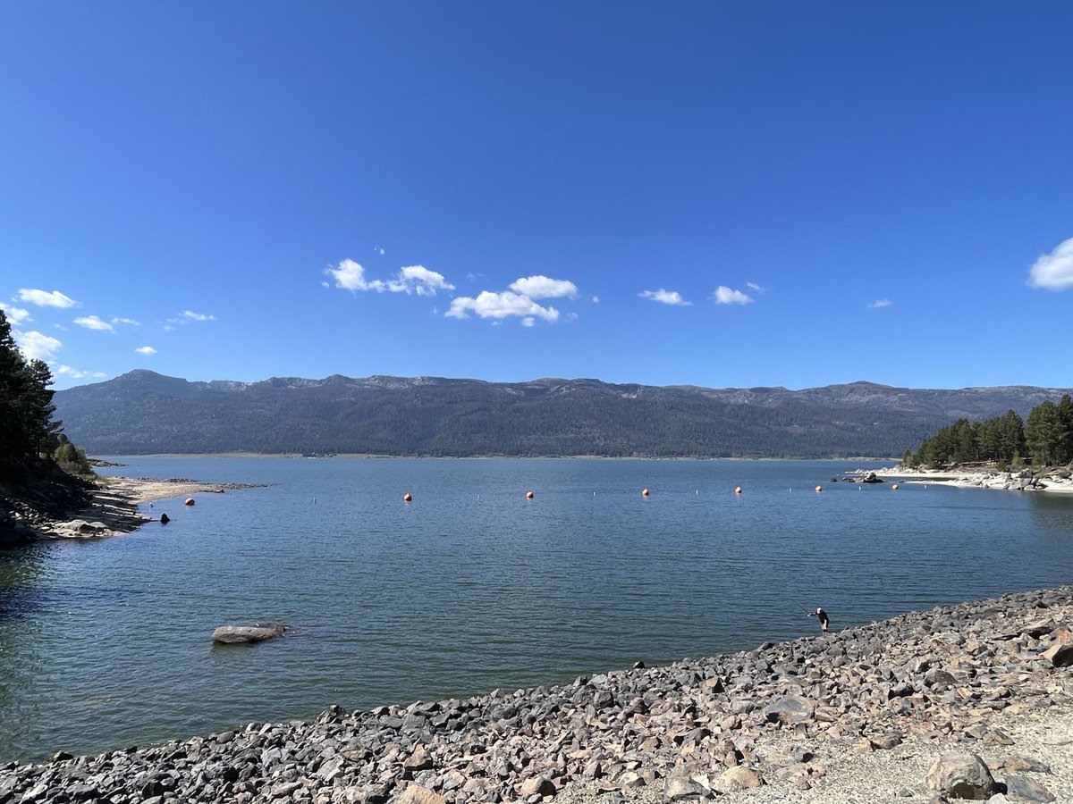 Keith Ridler tweet media