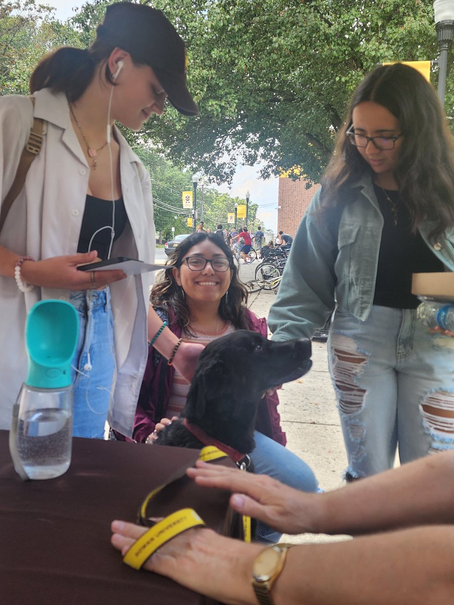 MichelePich's tweet photo. Our @rowanpettherapy dogs are at the @rowanuwellness @RowanUniversity open house today (Weds 9/13 until 4pm) at Winas Hall/Wellness Center! https://t.co/D5fGXFrNWp
