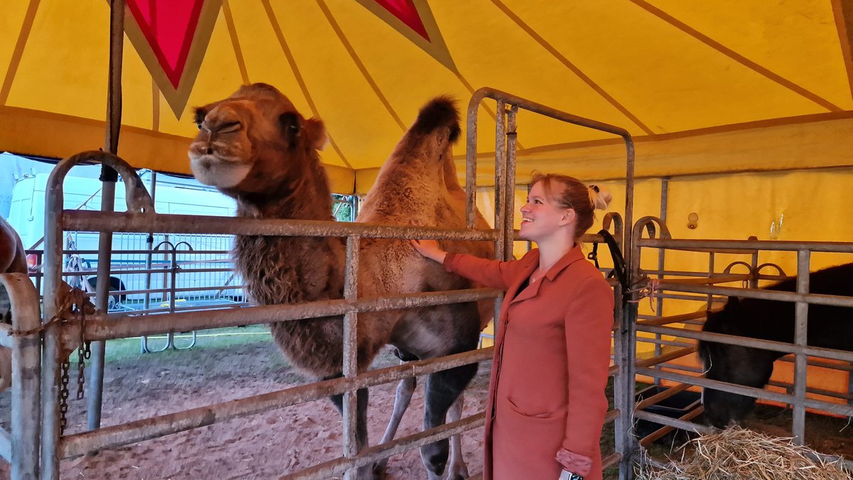 Ik heb een kameel geaaid en dat was echt een intens geluksmoment.