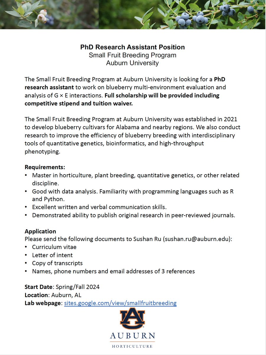 The Small Fruit Breeding Program at Auburn University is looking for a PhD Research Assistant to conduct blueberry multi-environment evaluation and G × E interaction analysis. Full scholarship will be provided. Please reach out to sushan.ru@auburn.edu if you are interested.