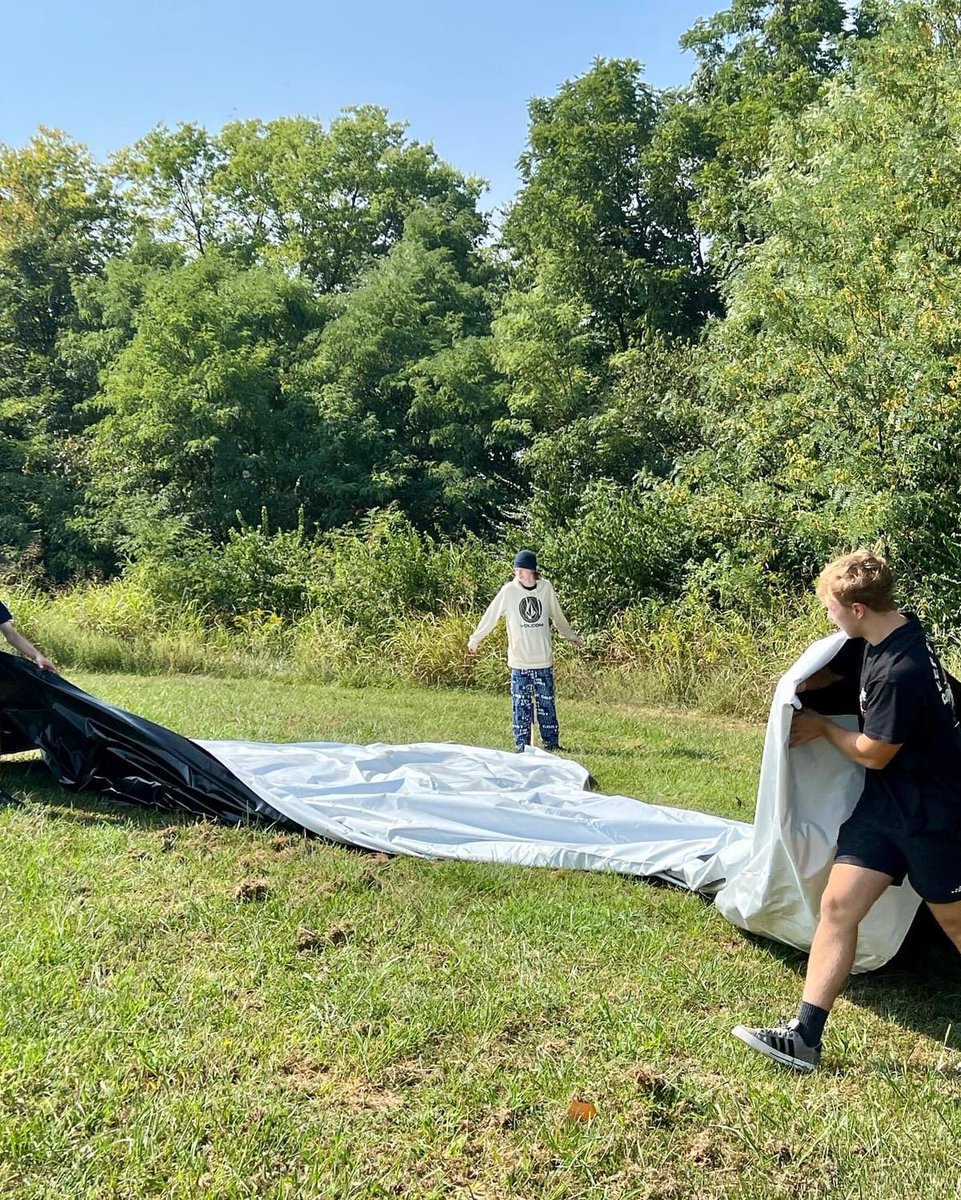 Melissa Norris tweet media