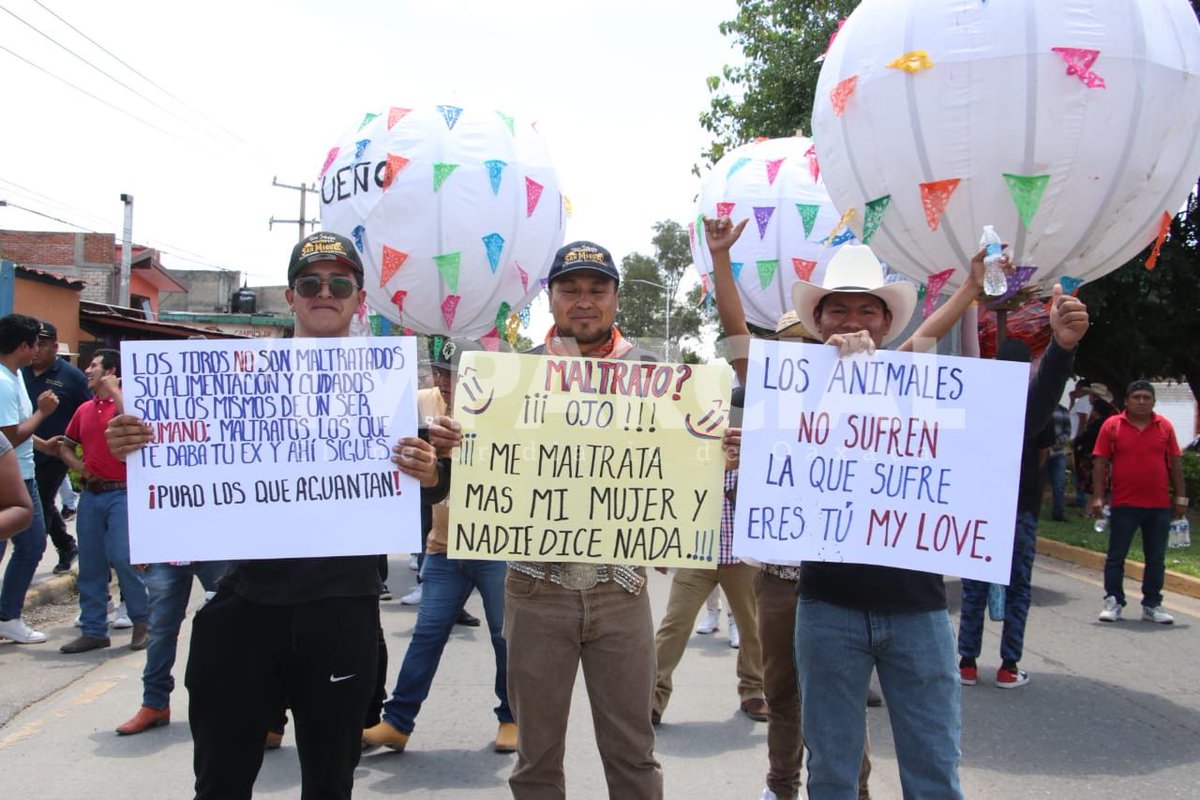 ImparcialOaxaca's tweet image. #Entérate | Personas que se dedican a las #peleas de #gallos y jaripeos marchan en contra de la prohibición de estas actividades. #Oaxaca 

Vía Adrián Gaytán