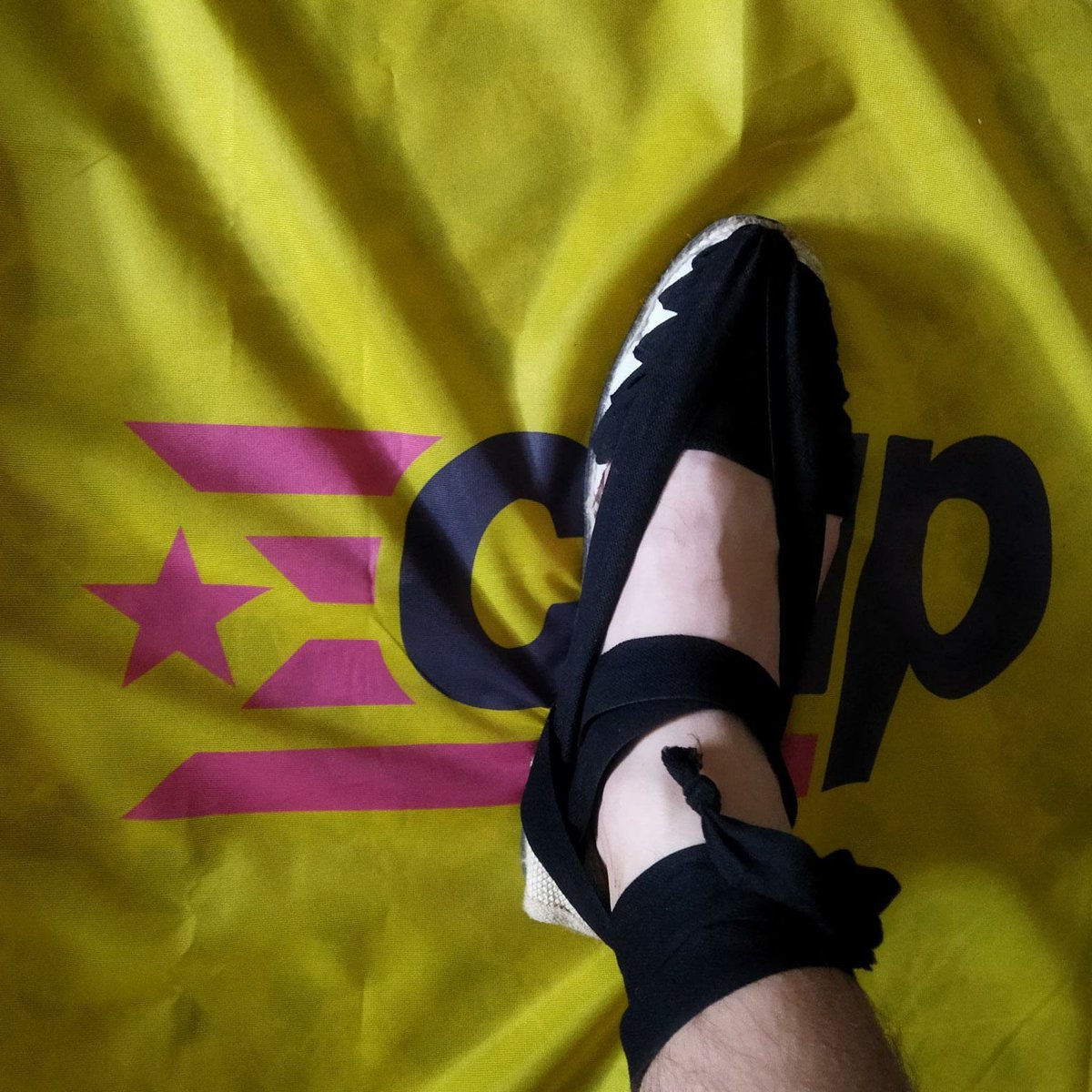 #FotoPerfilNova