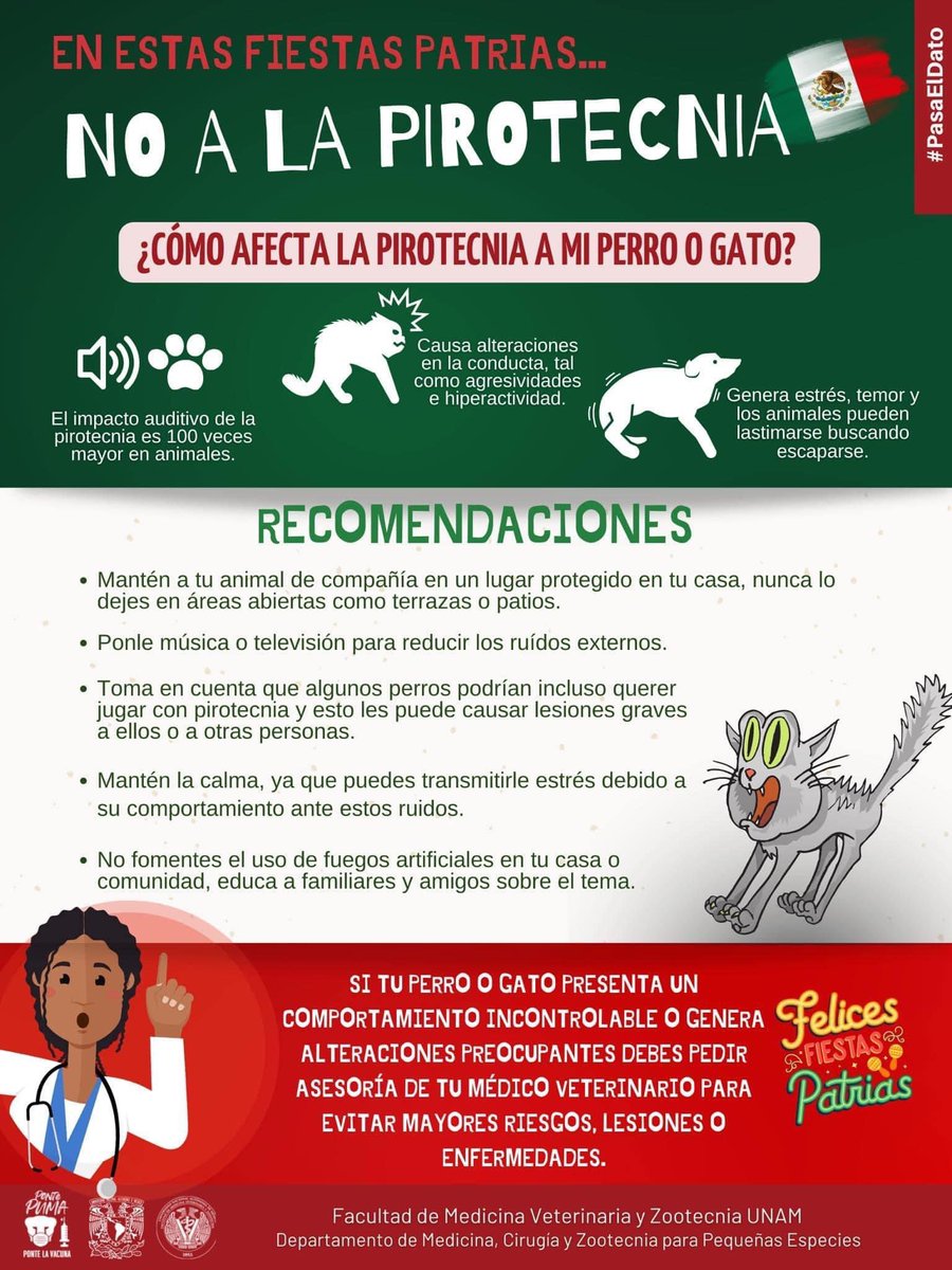 FMVZUNAM's tweet photo. Te compartimos algunas recomendaciones para proteger a tu animal de compañía en esta época del año. 👇🏻 https://t.co/eYUt1Ojm2D