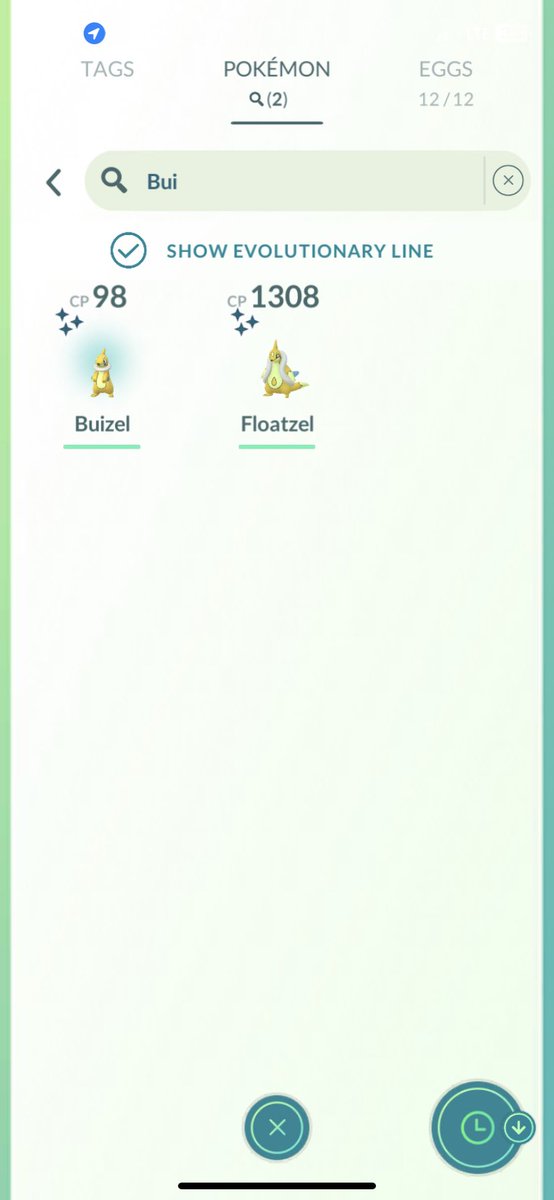 Second shiny buizel✨ Family is complete #ShinyPokemon #pokemon #PokemonGO