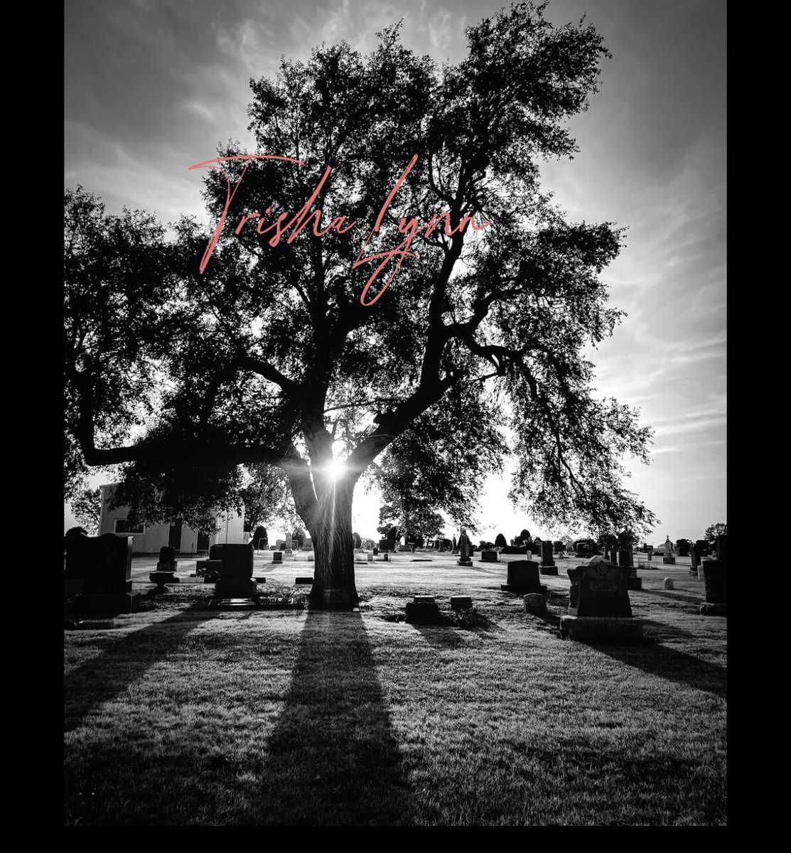 aXfatalXdesireX's tweet photo. #cemetery #photograghy #photograph #trees #headstones #Larned #LarnedCemetery #Kansas https://t.co/uTW8dGq8g1