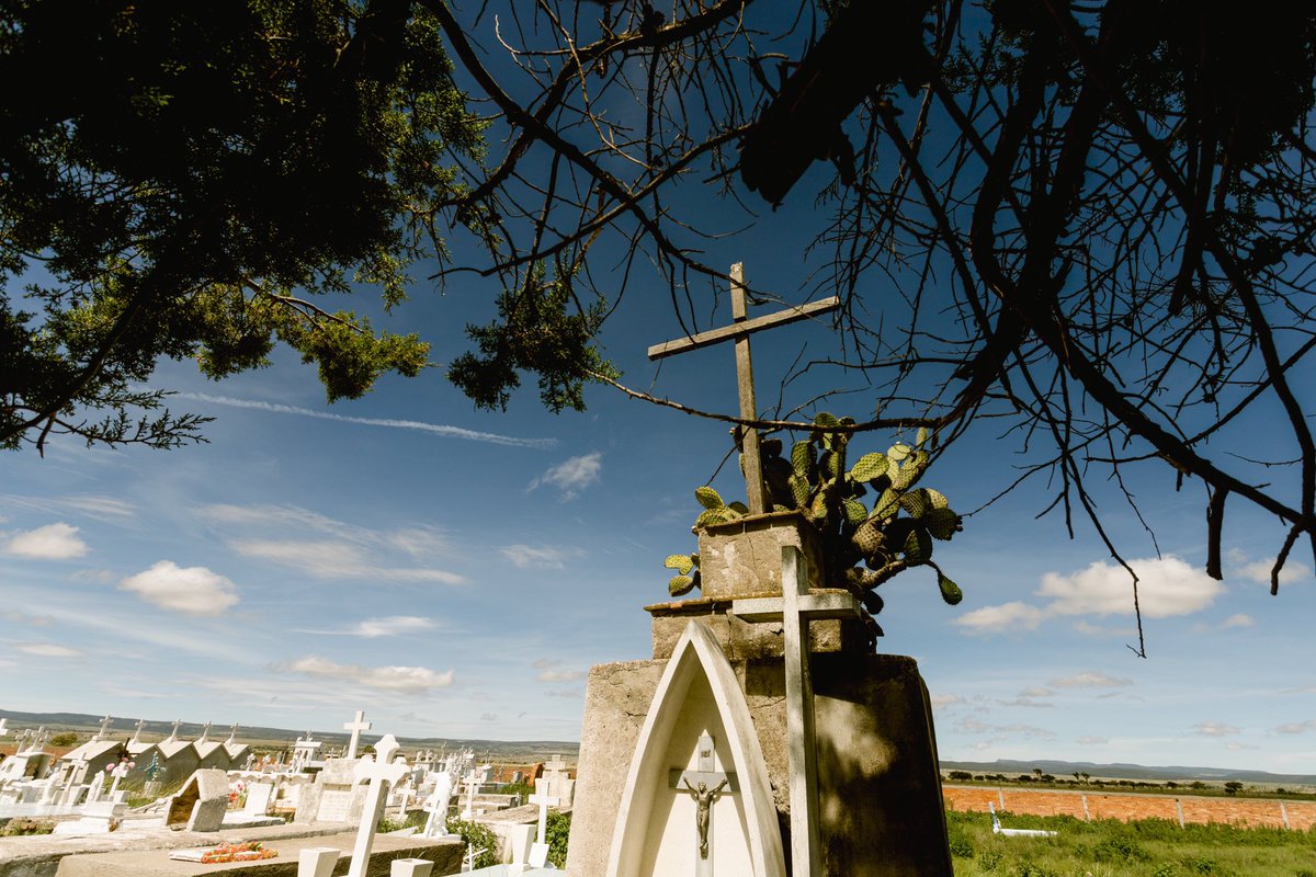 Ronaldo Bolaños tweet media