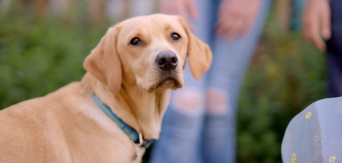 Newcastle Hospitals tweet media