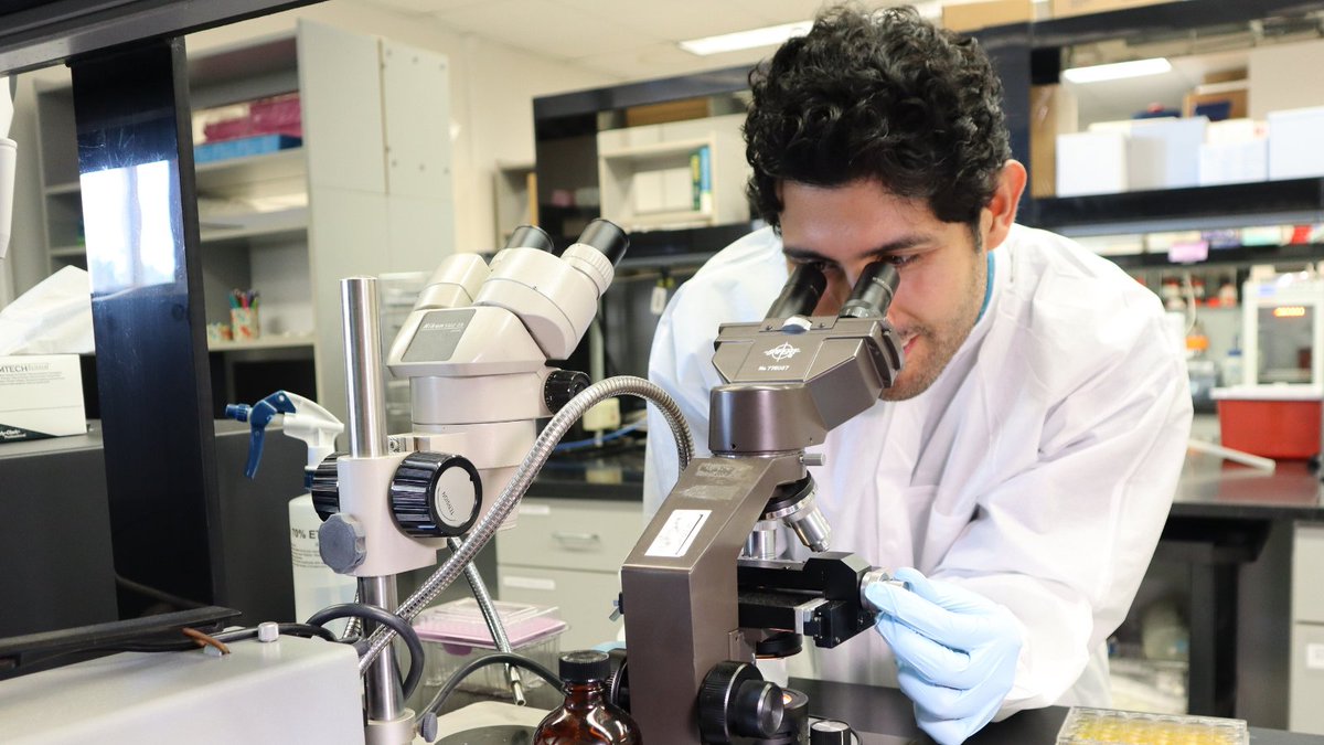 San Diego State University tweet media