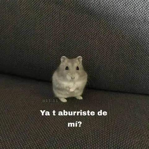 En_jupiter_'s tweet photo. Me habla tantito seco.

Yo con traumas. https://t.co/wk4UR0tckc