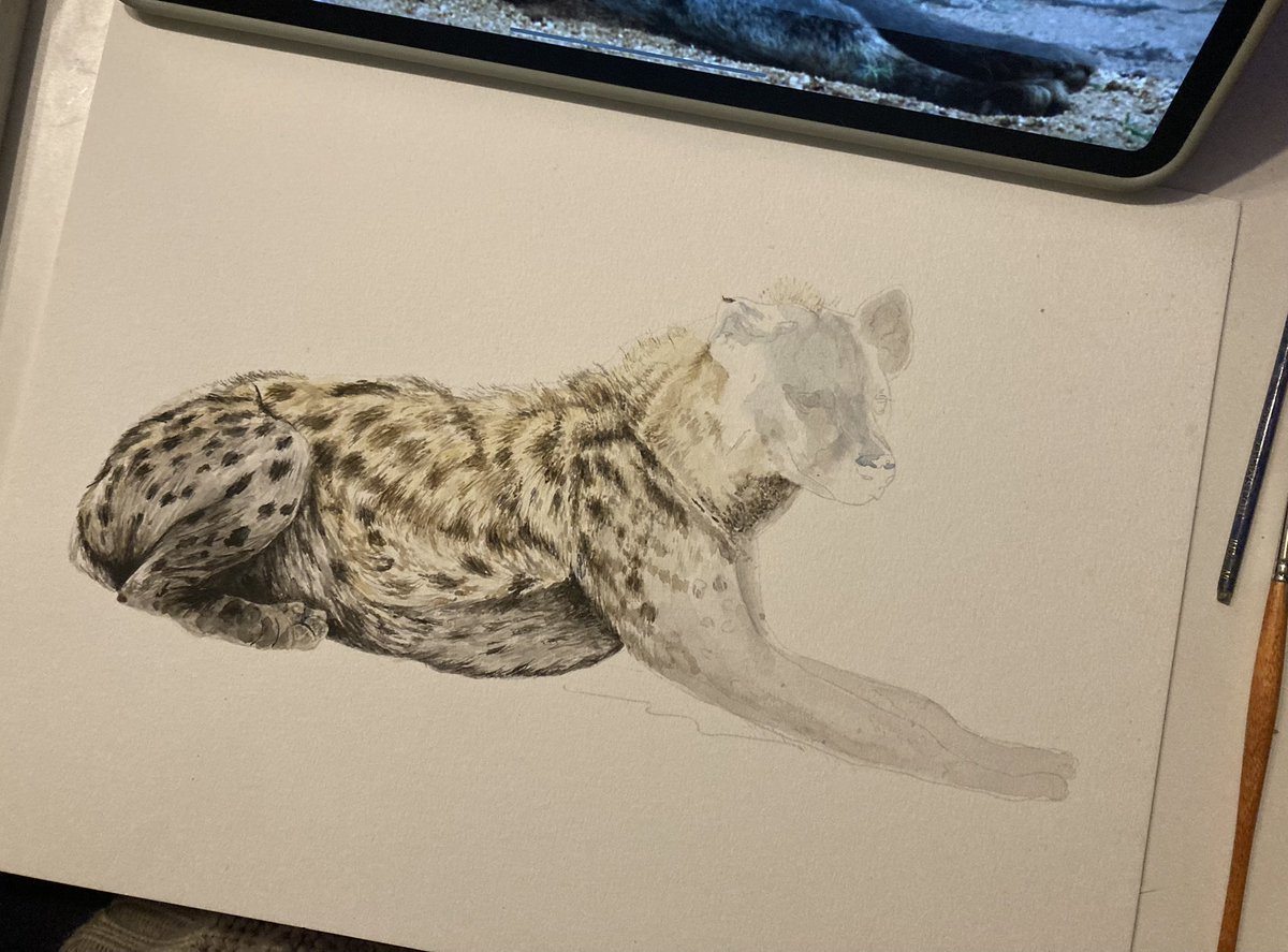 I wasn’t able to stream today and I don’t know if I will be able to stream tomorrow. But here is a #ArtWip of what I have been working on today