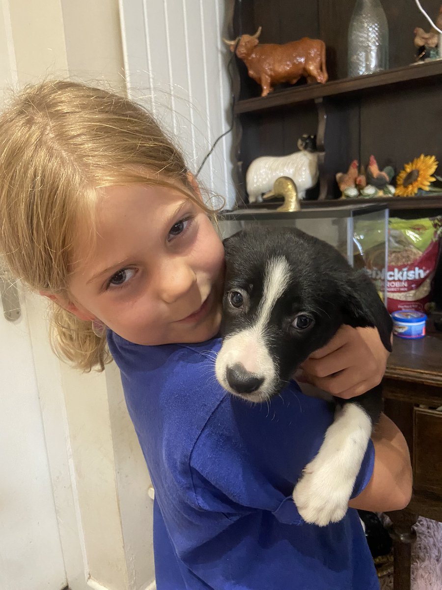 CayKendall tweet media