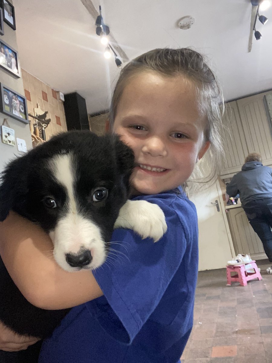 CayKendall tweet media