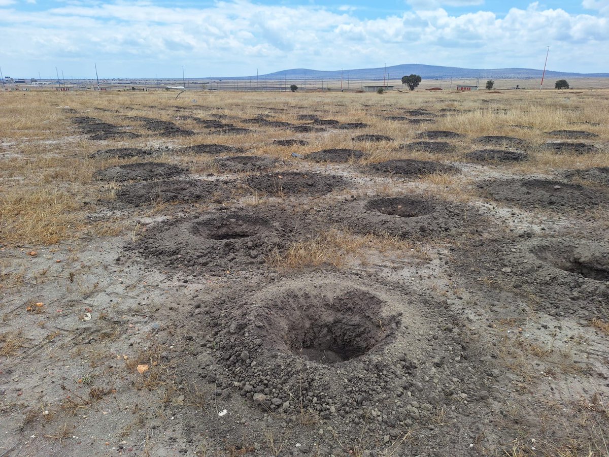 DMugalizi's tweet photo. I am not afraid to do Tree growing in the arid lands of Kenya, where competition for water is acute in the most fragile ecosystems, made more so by periodic droughts and increasing overexploitation of meagre resources. Join in as I celebrate my birthday through tree growing!! https://t.co/PqNAF8629H