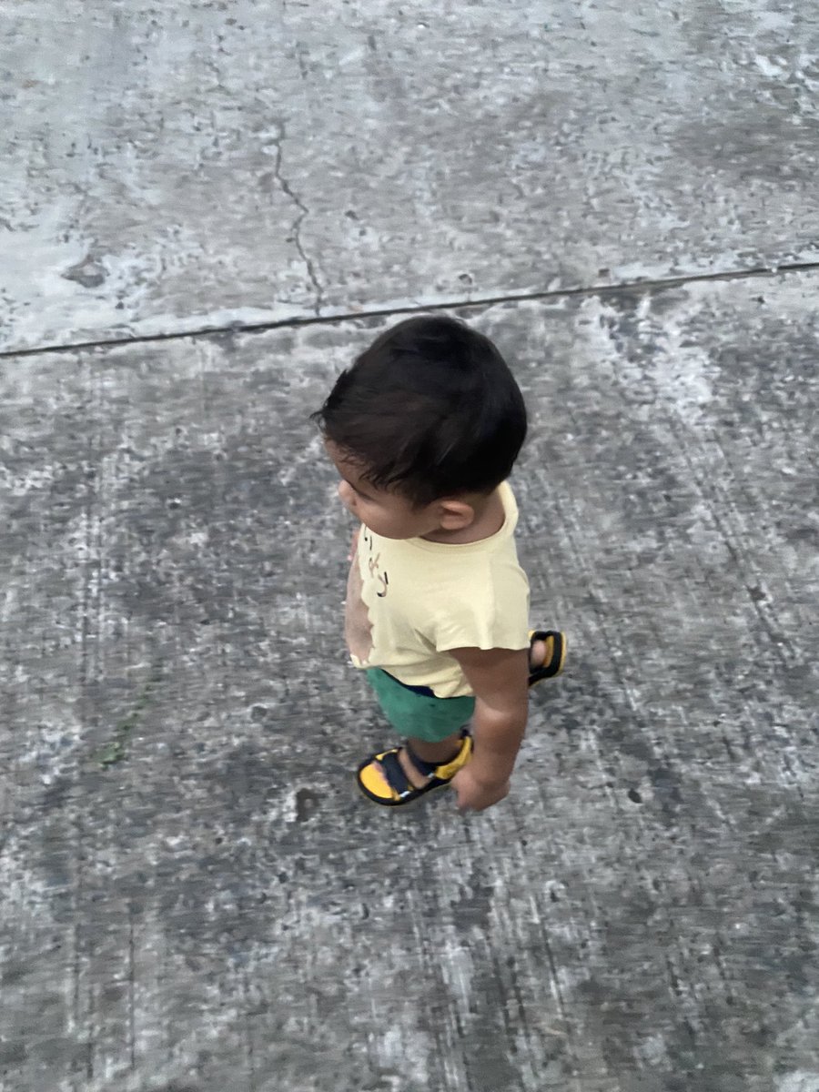 TheCryptoNative 🍍 tweet media