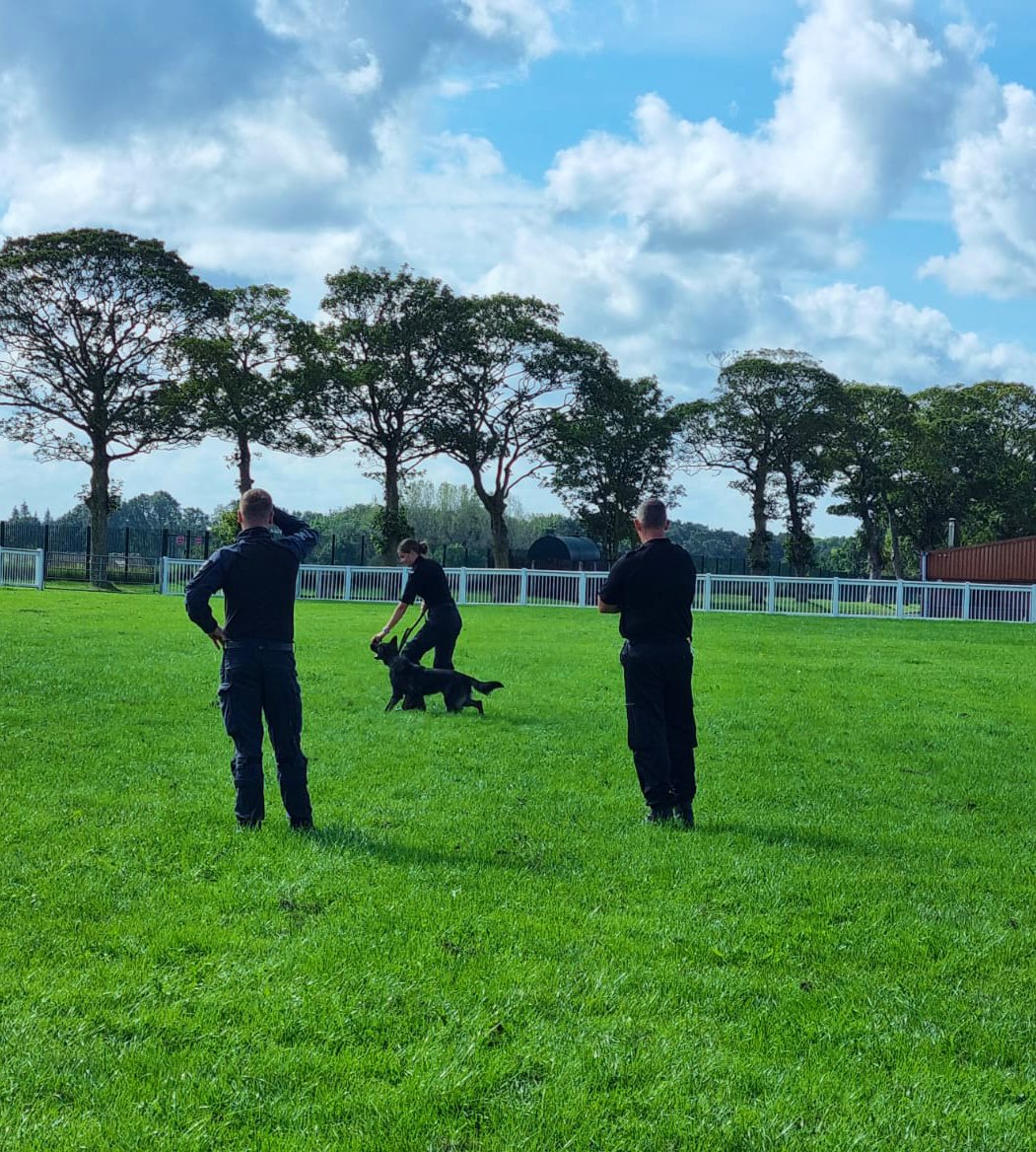CCstaffofficer's tweet photo. Week 2 of our initial dog handler course for 2023. Three new handlers and three new police dogs welcomed to the @StaffsDogs team - #PdGambit #PdMaddie and #PdBones 𦴠https://t.co/fzChSVf8te