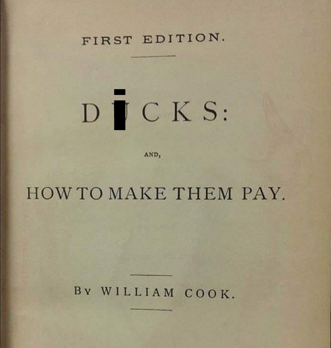 Onlyfans accts be like