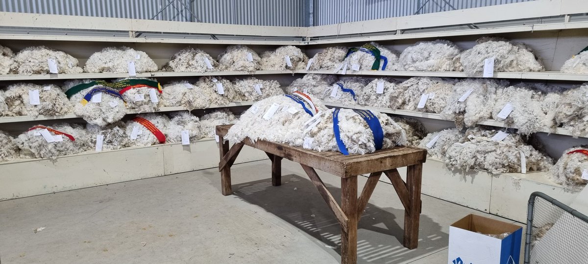 Michael Collins tweet media