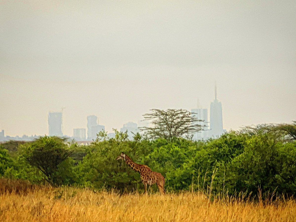 Jenny Fielding tweet media