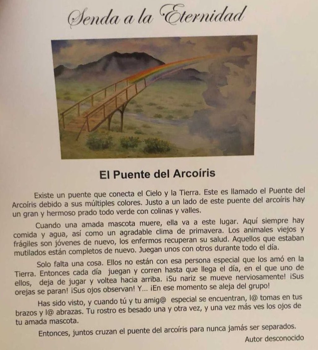 NatFriass's tweet photo. Nos vemos del otro lado del arcoíris mi flaquito adorado, te amo eternamente 🤍 https://t.co/FwXimkv3vP