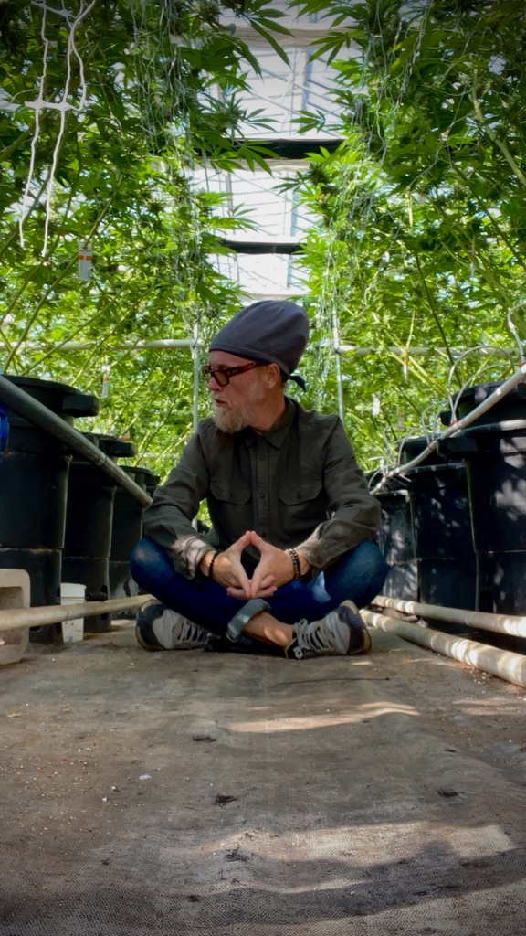 Glass House Farms tweet media