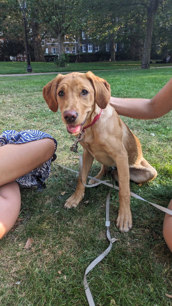 Katie Pether tweet media