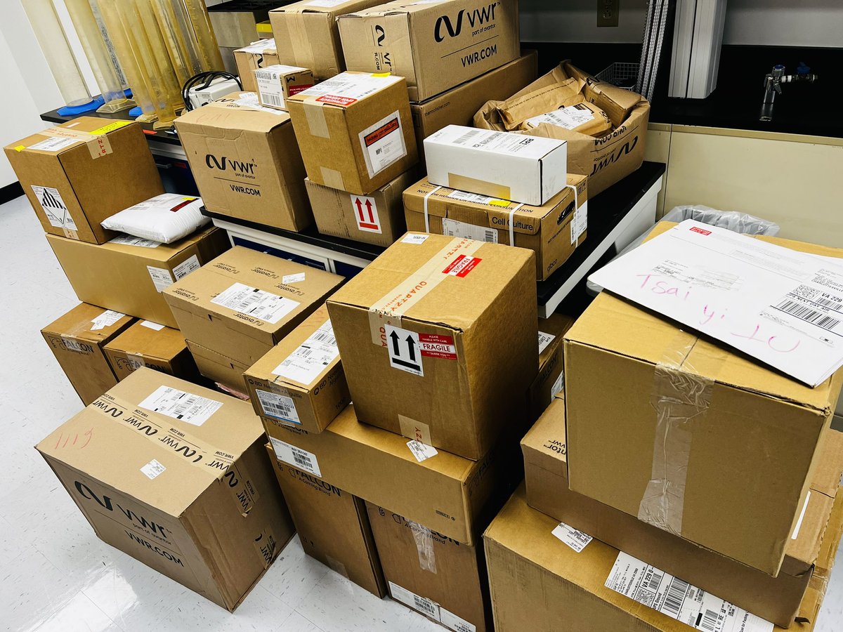 Tsai-Yi Lu (@tsaiyilu) on Twitter photo The shop is open!! #NewPI <a href="/UVA_Brain/">UVA Brain Institute</a> <a href="/UVA_PFN/">UVA Neuroscience</a> <a href="/UVaBIG/">BIG Center at UVA</a> <a href="/uva_bims/">UVA_BIMS 🔬🥽🎓</a> The shop is open!! #NewPI <a href="/UVA_Brain/">UVA Brain Institute</a> <a href="/UVA_PFN/">UVA Neuroscience</a> <a href="/UVaBIG/">BIG Center at UVA</a> <a href="/uva_bims/">UVA_BIMS 🔬🥽🎓</a>
