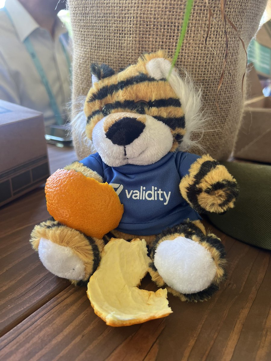 Picked up <a href="/TrustValidity/">Validity</a>’s Validitiger, and we’ve been adventuring in Trailblazer Forest at day 2 of Dreamforce. Got lost, then had lunch! 😂