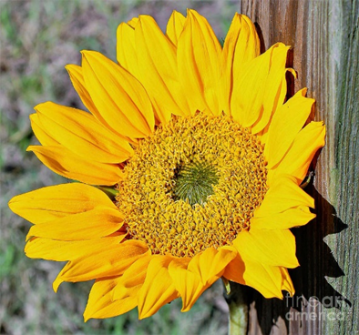 PamelaBaker67's tweet photo. https://t.co/rMuc5NWFXn @JoanneCareyPhotography #LetThereBePeace #AutumnBlog
https://t.co/9AEThZfTZW https://t.co/l6OkH2LUgZ