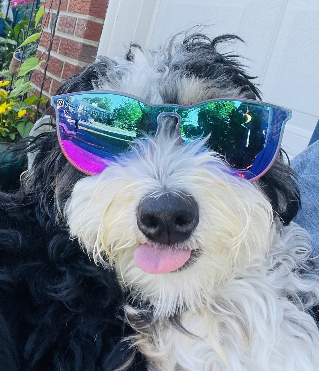 moonlitalchemy's tweet photo. @greta @NEWSMAX This is Luna and my name is Jen! Permission to use 😀 https://t.co/aEi8MGbF8Q