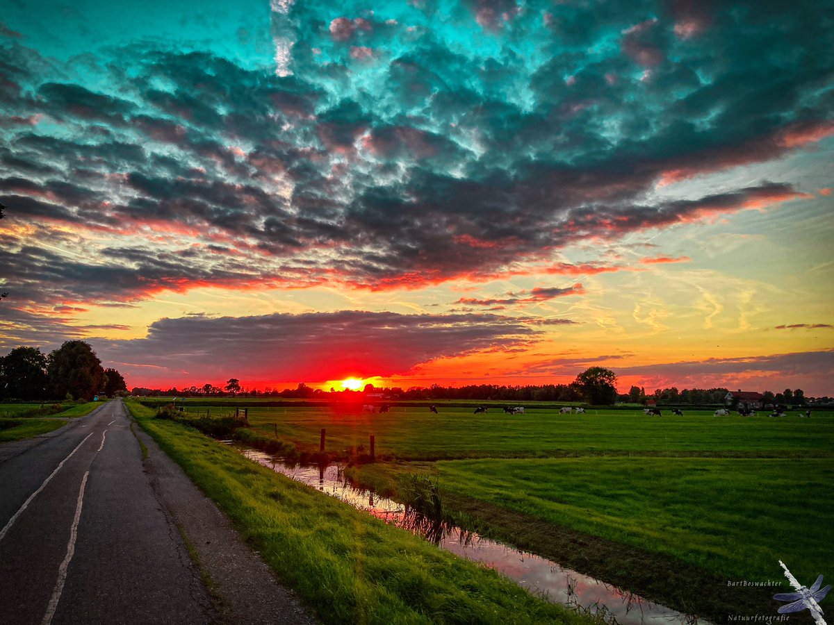 Mooie zonsondergang in de polder van Altena! #Altena #zonsondergang