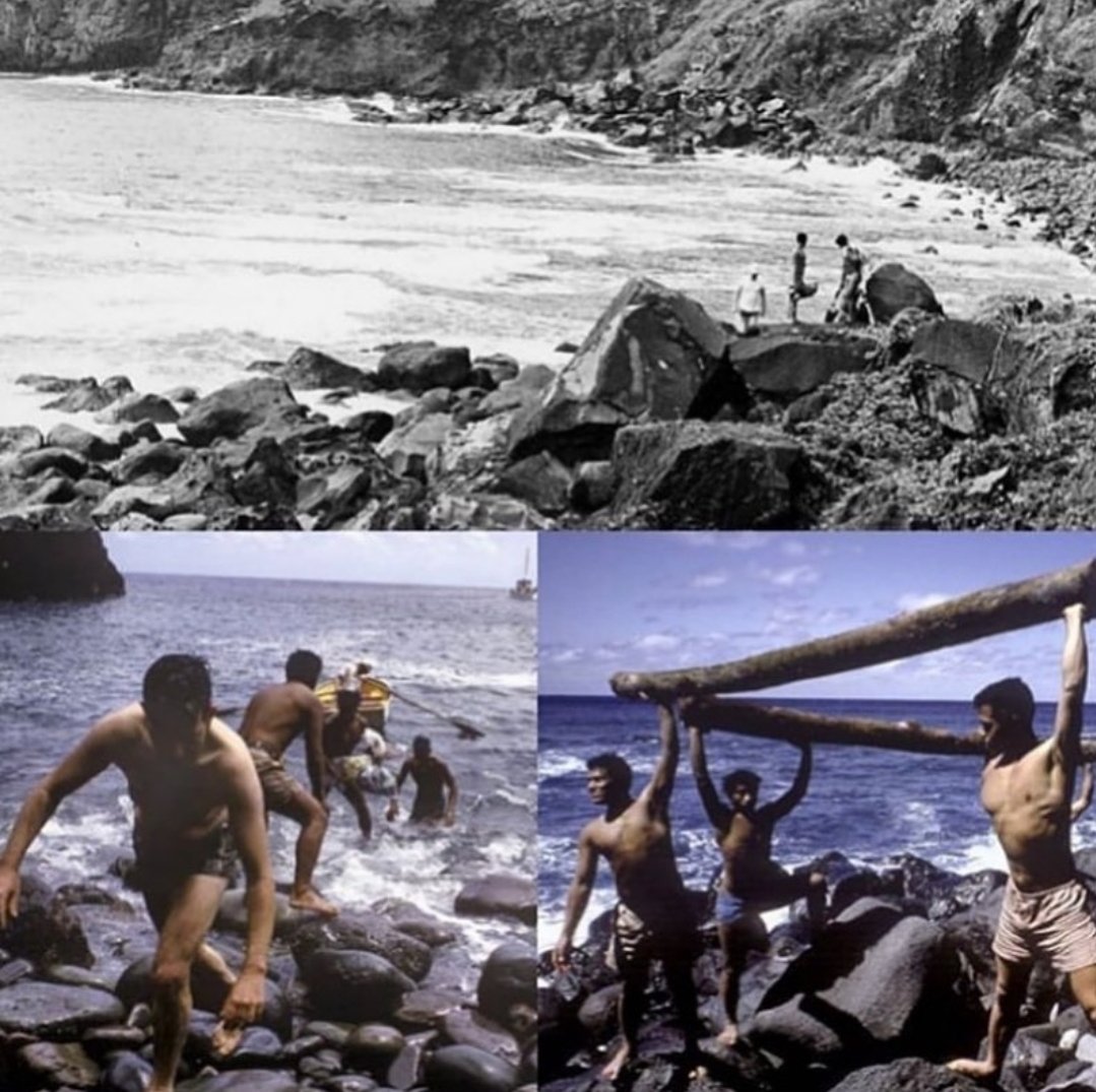 RelatocuriosoK's tweet photo. En 1965, seis niños entre 13 y 16 años decidieron jugar y "tomar prestado" un bote de pescadores para navegar de Tonga a Fiji.

Antes de zarpar, trajeron consigo alimentos y suministros, pero cometieron el error de quedarse dormidos durante su primera noche en el mar. Cuando despertaron, el bote había sido dañado por las olas. Estuvieron a la deriva durante varios días antes de caer en una isla deshabitada. Este sería su hogar durante los próximos 15 meses.

Los niños inicialmente sobrevivieron comiendo una dieta que consistía principalmente en pájaros, cocos y peces. Su nivel de vida mejoró una vez que pudieron subir a la cima del acantilado rocoso donde encontraron un asentamiento abandonado cerca de un cráter volcánico. ¡Los niños pudieron encontrar plátanos, semillas y pollos!

Después de encontrar varias fuentes de alimentos y construir un refugio, los niños establecieron reglas. Trabajaron en parejas y emitieron tiempo muerto para evitar cualquier pelea. También celebraron sesiones de canto y oración todas las mañanas y noches antes de quedarse dormidos.

En 1966, el capitán australiano Peter Warner descubrió a los niños abandonados después de detectar su fuego. Más tarde escribiría en sus memorias que "los niños habían establecido una pequeña comuna con un jardín de alimentos, troncos de árboles ahuecados para almacenar agua de Iluvia, un gimnasio con pesas, una cancha de bádminton, corrales de gallinas y un fuego permanente."

En general, los niños gozaban de buena salud cuando Warner los encontró. Sin embargo, a su regreso, los niños fueron encarcelados por robar el bote. Warner aseguró los derechos de un documental sobre su historia de supervivencia con la condición de que sean liberados y recreados en cámara.